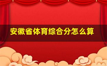 安徽省体育综合分怎么算