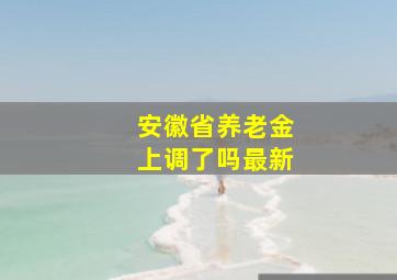 安徽省养老金上调了吗最新