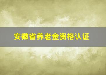 安徽省养老金资格认证