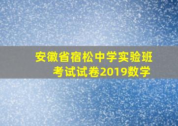 安徽省宿松中学实验班考试试卷2019数学