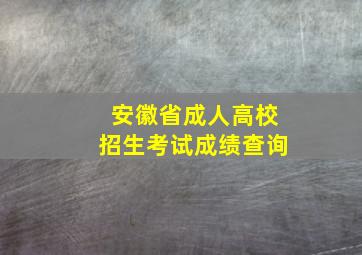 安徽省成人高校招生考试成绩查询