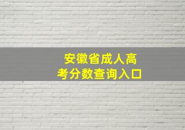 安徽省成人高考分数查询入口