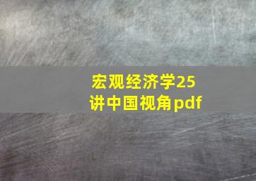 宏观经济学25讲中国视角pdf