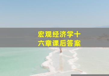 宏观经济学十六章课后答案