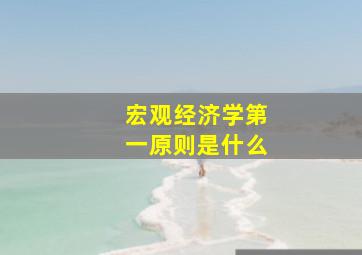 宏观经济学第一原则是什么