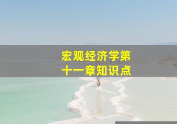 宏观经济学第十一章知识点