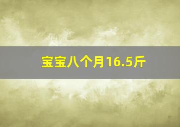 宝宝八个月16.5斤