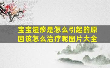 宝宝湿疹是怎么引起的原因该怎么治疗呢图片大全