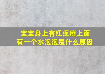 宝宝身上有红疙瘩上面有一个水泡泡是什么原因