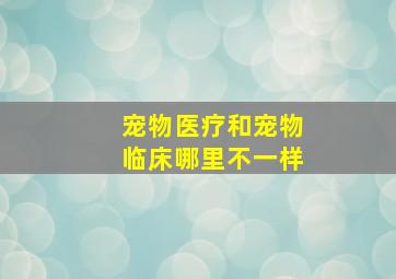 宠物医疗和宠物临床哪里不一样