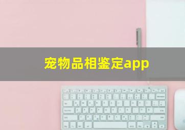 宠物品相鉴定app