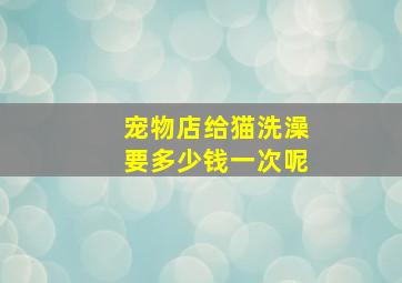 宠物店给猫洗澡要多少钱一次呢