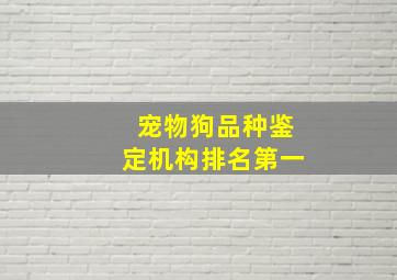 宠物狗品种鉴定机构排名第一