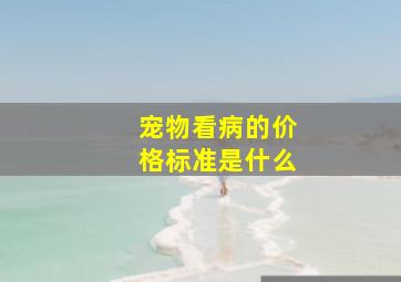 宠物看病的价格标准是什么