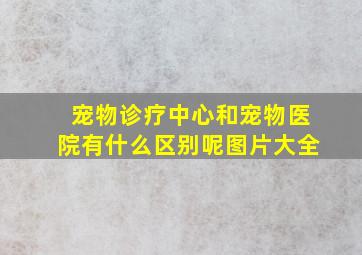 宠物诊疗中心和宠物医院有什么区别呢图片大全