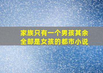 家族只有一个男孩其余全部是女孩的都市小说