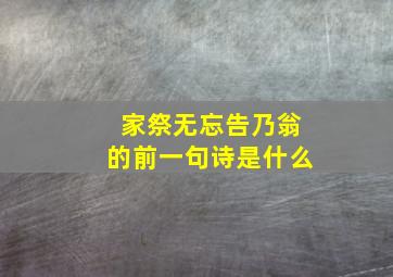 家祭无忘告乃翁的前一句诗是什么