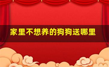 家里不想养的狗狗送哪里