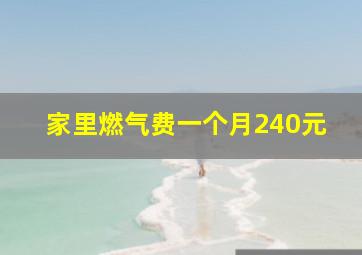 家里燃气费一个月240元