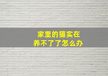 家里的猫实在养不了了怎么办