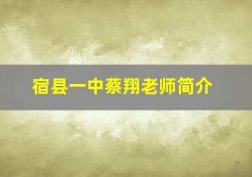 宿县一中蔡翔老师简介