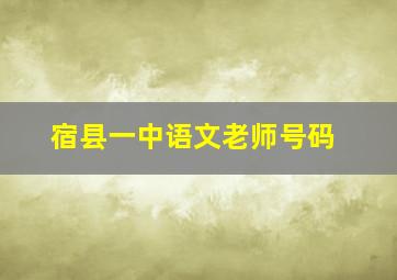 宿县一中语文老师号码