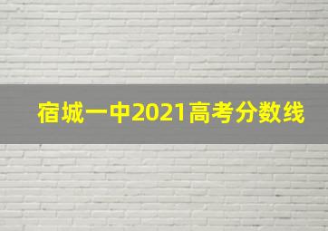 宿城一中2021高考分数线