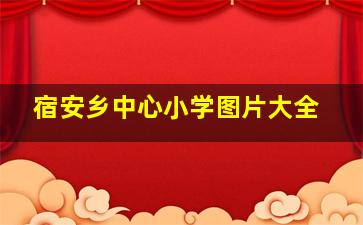 宿安乡中心小学图片大全