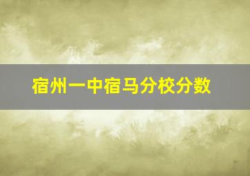 宿州一中宿马分校分数