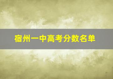 宿州一中高考分数名单