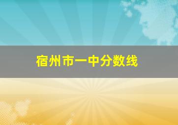 宿州市一中分数线