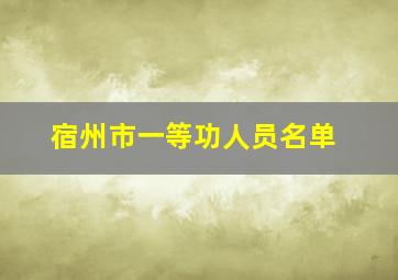 宿州市一等功人员名单