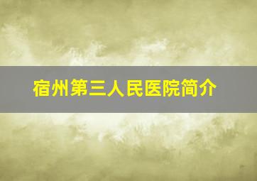 宿州第三人民医院简介