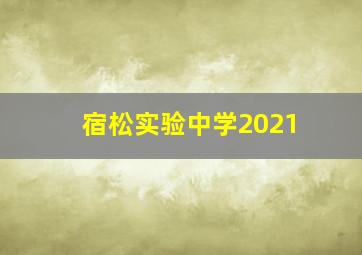 宿松实验中学2021