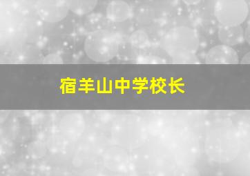 宿羊山中学校长