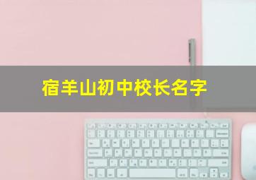 宿羊山初中校长名字