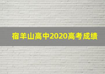 宿羊山高中2020高考成绩