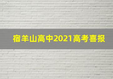 宿羊山高中2021高考喜报