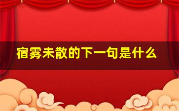 宿雾未散的下一句是什么