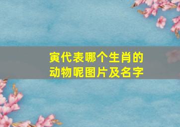 寅代表哪个生肖的动物呢图片及名字