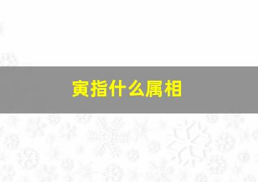 寅指什么属相