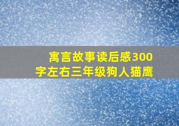 寓言故事读后感300字左右三年级狗人猫鹰