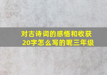 对古诗词的感悟和收获20字怎么写的呢三年级