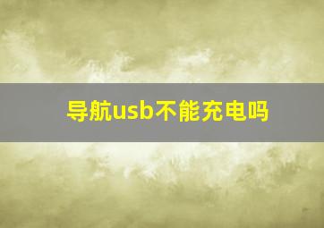 导航usb不能充电吗