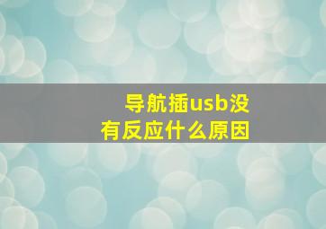 导航插usb没有反应什么原因