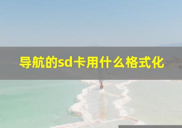 导航的sd卡用什么格式化