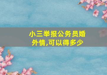 小三举报公务员婚外情,可以得多少