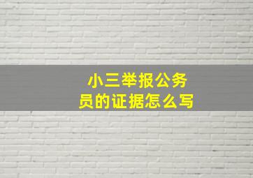 小三举报公务员的证据怎么写