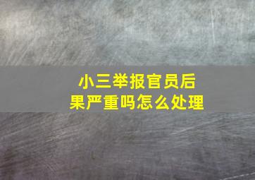 小三举报官员后果严重吗怎么处理