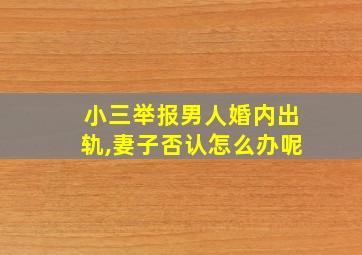 小三举报男人婚内出轨,妻子否认怎么办呢